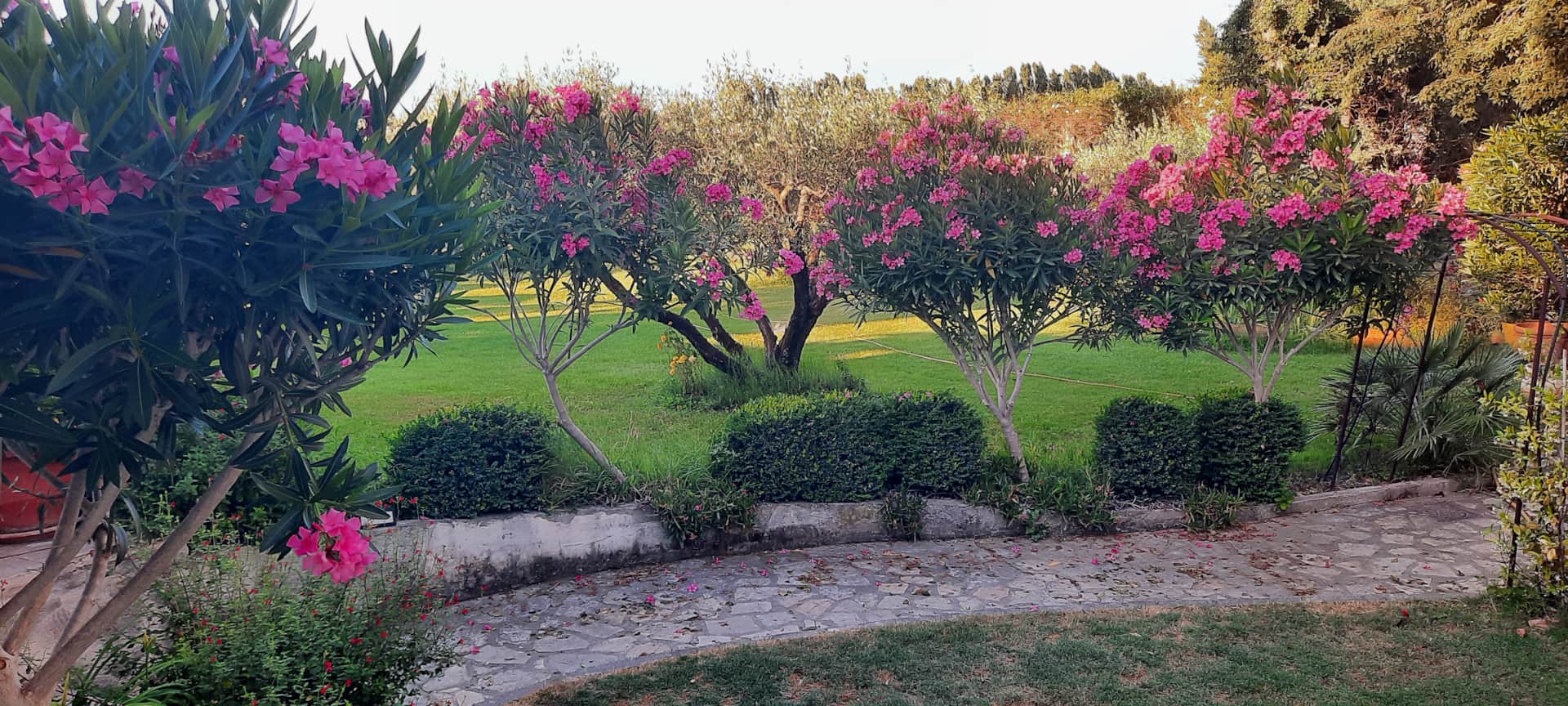 3de9fea2-c19d-4c0e-aab4-977218f59c7a